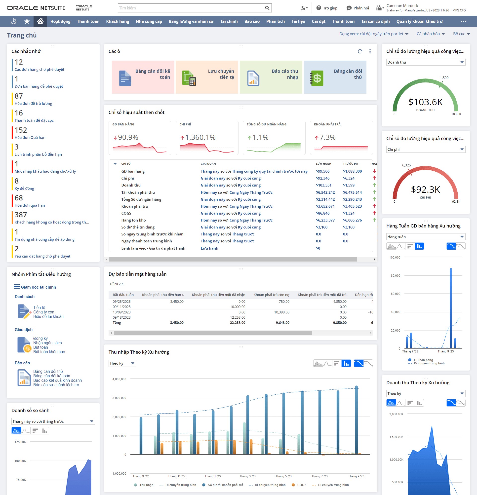 NetSuite là gì? Tìm hiểu chi tiết phân hệ chính của Oracle NetSuite ERP 25 NetSuite tích hợp sẵn các Dashboard mạnh mẽ theo thời gian thực giúp CFO/CEO theo dõi sức khỏe tài chính một cách chính xác